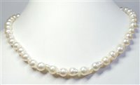 Collana Stocco Gioielli Donna in Perle Perla FIPB - FIPB